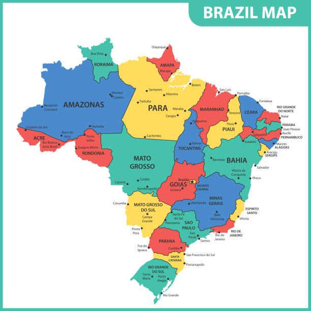 ilustraciones, imágenes clip art, dibujos animados e iconos de stock de el mapa detallado de la brasil con ciudades, regiones o estados y capitales - brazil map rio de janeiro sao paulo