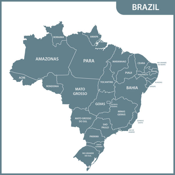ilustraciones, imágenes clip art, dibujos animados e iconos de stock de el mapa detallado de el brasil con las regiones o estados - amazonas state