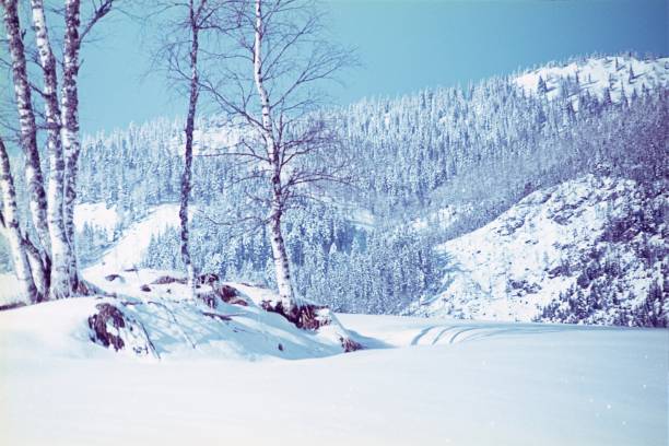 겨울 풍경 - clear sky ski footpath snow 뉴스 사진 이미지