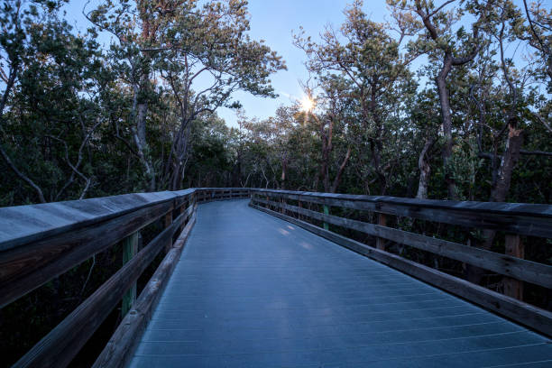 istock Moonrise over the Boardwalk leading to Clam Pass 913951118