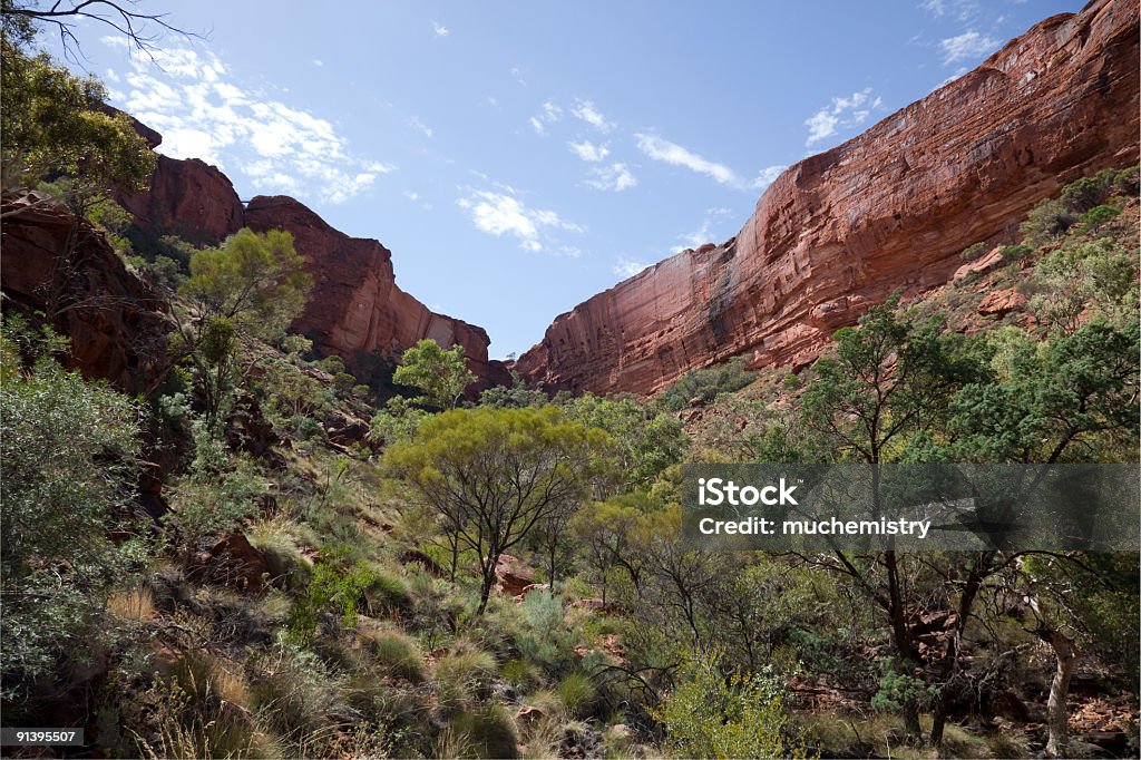 Cañón del Rey - Foto de stock de Australia libre de derechos