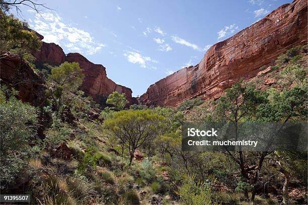 Cañón Del Rey Foto de stock y más banco de imágenes de Australia - Australia, Belleza de la naturaleza, Bush Land