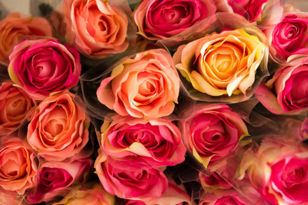 istock Background of mixed colorful roses plastic flower closeup. 913972046
