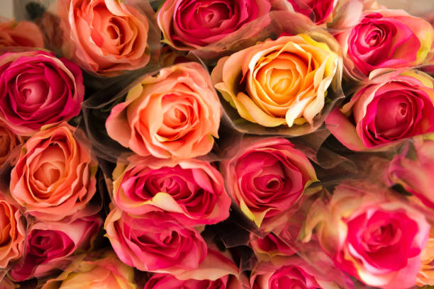 istock Background of mixed colorful roses plastic flower closeup. 913972232