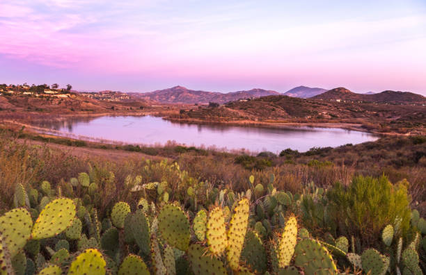 el condado de lake hodges atardecer paisaje rancho bernardo san diego california - photography north america cactus plant fotografías e imágenes de stock