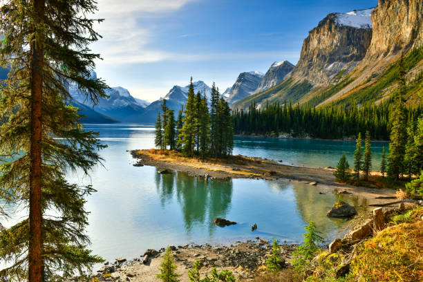 isla de espأritu en maligne lake, parque nacional jasper, canadá - lago maligne fotografías e imágenes de stock