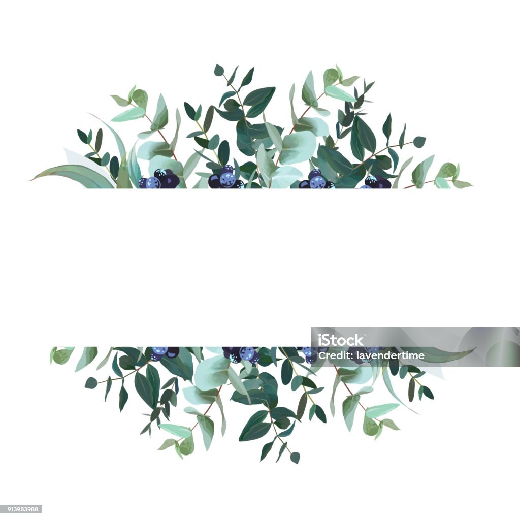 Banner de diseño horizontal vector botánico - arte vectorial de Árbol de eucalipto libre de derechos
