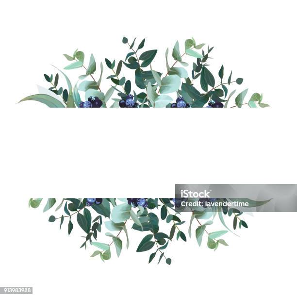 Horizontal Botanical Vector Design Banner Stock Illustration - Download Image Now - Eucalyptus Tree, Lush Foliage, Border - Frame