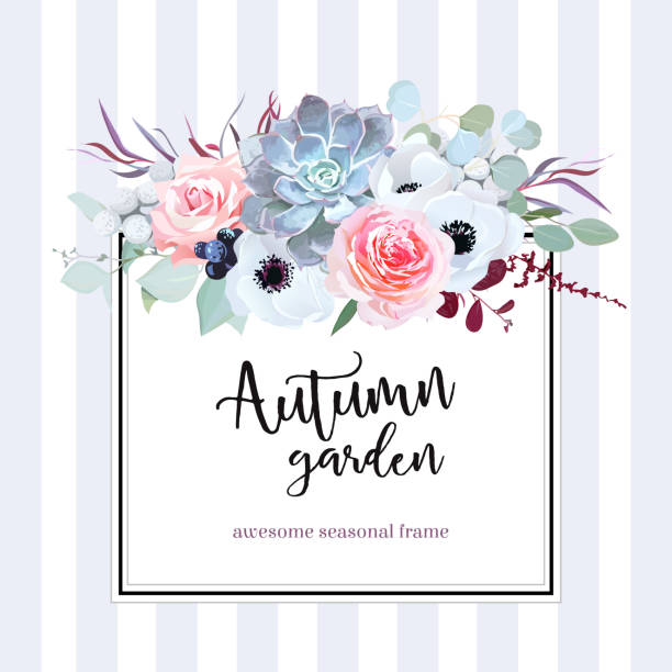 Square floral vector design card Square floral vector design card. Anemone, echeveria succulent, rose, brunia, black berry, eucalyptus, agonis.Wedding card.Simple backdrop with vertical stripes. All elements are isolated and editable flower arrangement bouquet variation flower stock illustrations