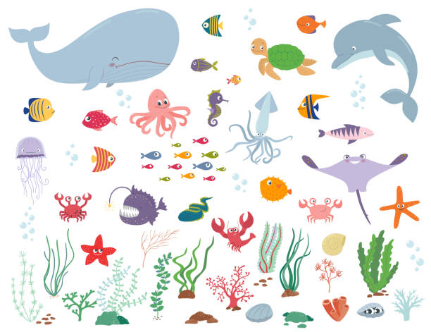 ilustraciones, imágenes clip art, dibujos animados e iconos de stock de animales marinos y plantas de agua. vector ilustración de dibujos animados - pez ilustraciones