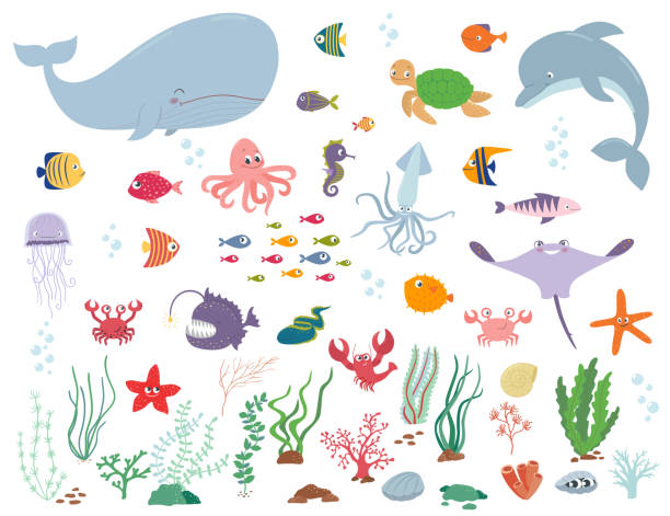 ilustraciones, imágenes clip art, dibujos animados e iconos de stock de animales marinos y plantas de agua. vector ilustración de dibujos animados - jellyfish animal cnidarian sea