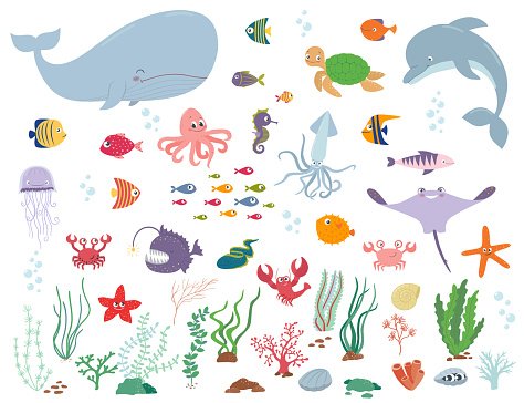 Sea animals and water plants. Cartoon vector illustration on a white background