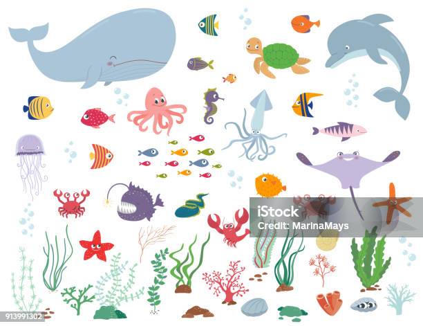 Sea Animals And Water Plants Cartoon Vector Illustration Stock Illustration - Download Image Now