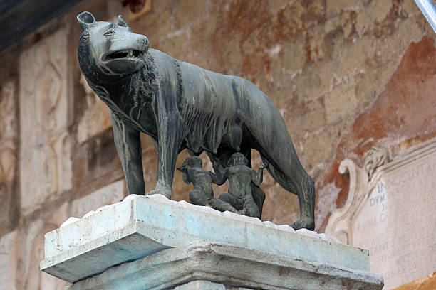 remus and romulus - piazza del campidoglio statue rome animal stock-fotos und bilder