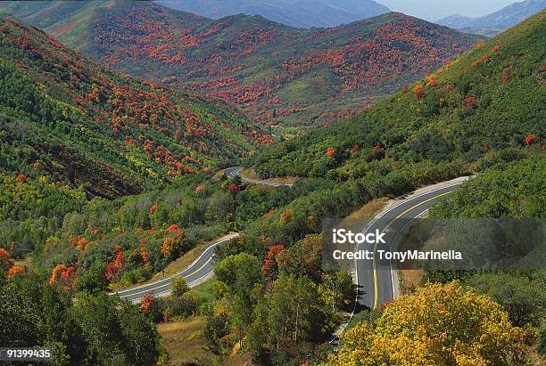 구불구불한 Road 도로에 대한 스톡 사진 및 기타 이미지 - 도로, 0명, 가을