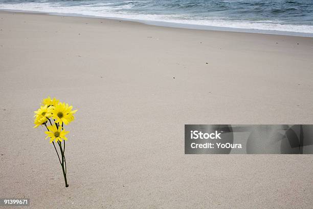 Flower On The Beach Stock Photo - Download Image Now - Beach, Color Image, Day