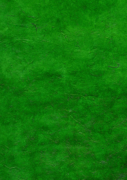 Ręcznie robiony papier zielone Venetian – zdjęcie