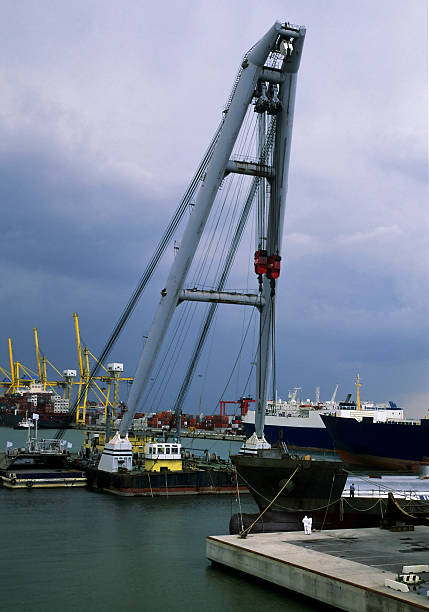 grues dans le port - crane shipyard construction pulley photos et images de collection