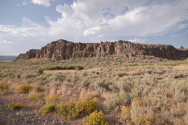 Rock outcropping in Owyhee mountains  rabbit brush stock pictures, royalty-free photos & images