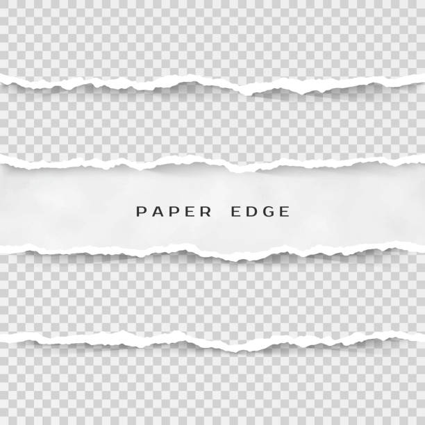 ilustraciones, imágenes clip art, dibujos animados e iconos de stock de conjunto de rayas de papel rasgado. textura de papel con borde dañado aislado sobre fondo transparente. ilustración de vector - rasgado