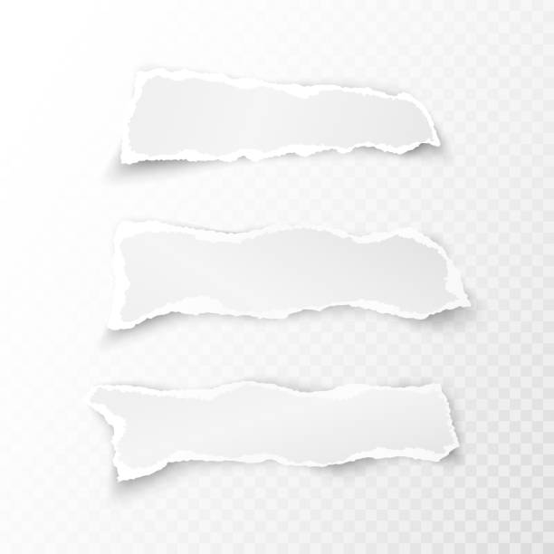 ilustrações, clipart, desenhos animados e ícones de conjunto de brancos rasgados pedaços de papel em fundo transparente. ilustração vetorial - to do list note pad paper flyer