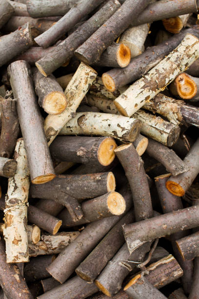 istock heap of firewood 914000570