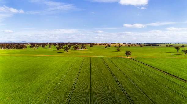 D VIC Agri Green Field Flat