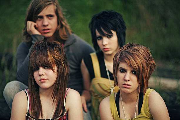 istock Four Friends in Rural Area at Sunset 91400558