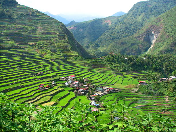 Batad Rice Terraces Village stock photo