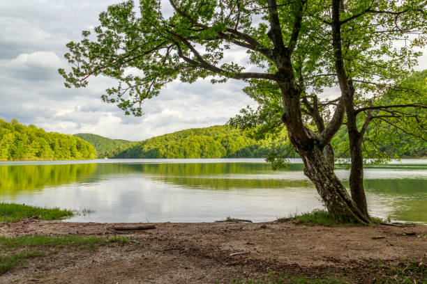 istock Plitvice lakes of Croatia 914007504