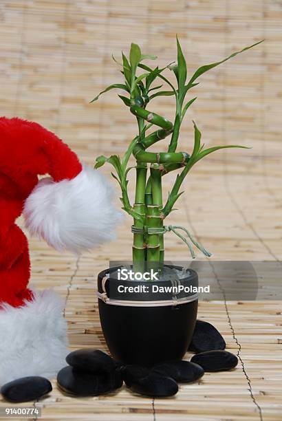 Natal Gift De Boa Sorte - Fotografias de stock e mais imagens de Bambu - Material - Bambu - Material, Chapéu, Chapéu do Pai Natal