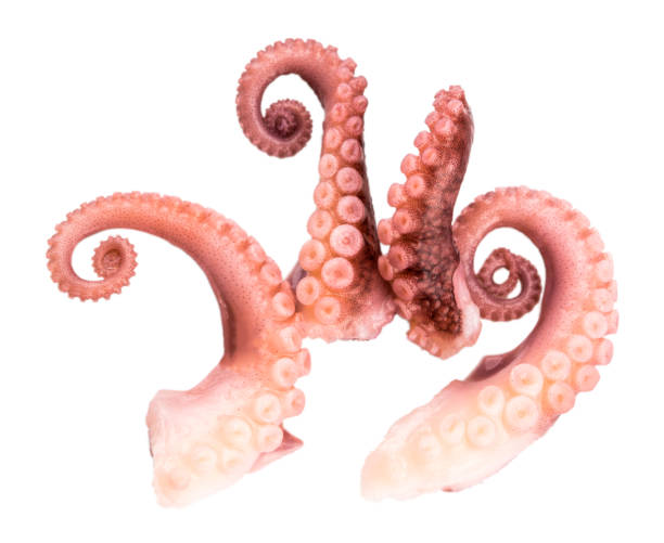 istock tentacles of octopus isolated on white background 914007990