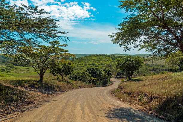 istock Empty Dirt Road Through Trees and Sugar Cane Plantations 914010908