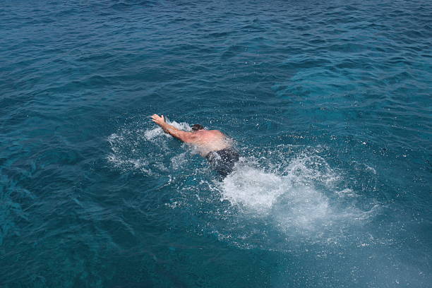 istock Man swimming in the sea 91401104
