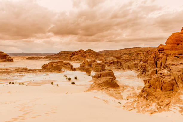 istock Mountain in Sinai desert Egypt 914018522