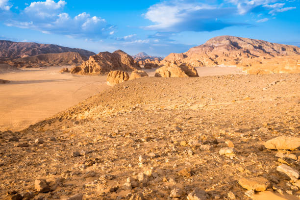 istock Gold arid desert landscape Sinai, Egypt 914020262