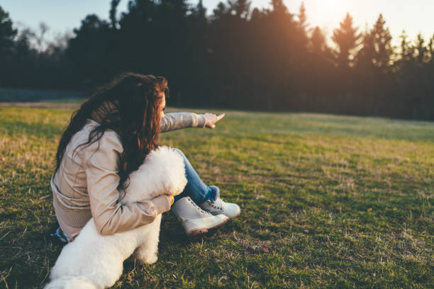 istock Enjoying sunset with my dog 914023404