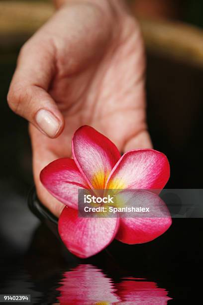 Mano Y Flor Foto de stock y más banco de imágenes de Agua - Agua, Amor - Sentimiento, Budismo