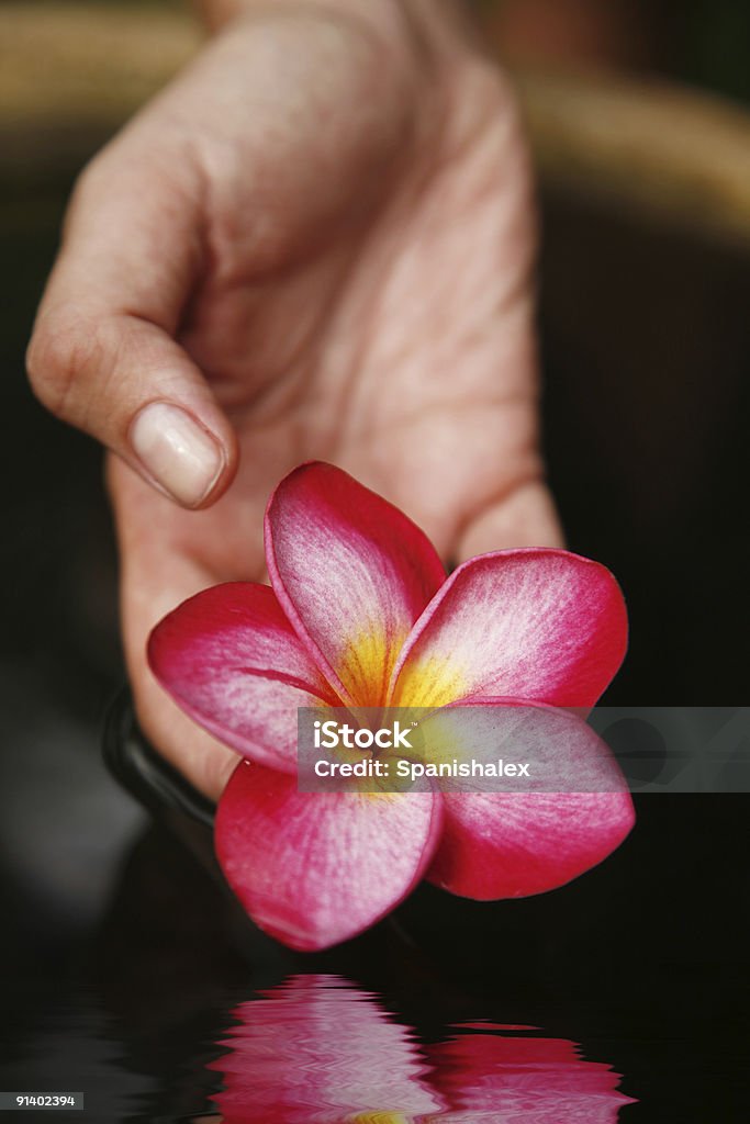 Main et fleur - Photo de Amour libre de droits