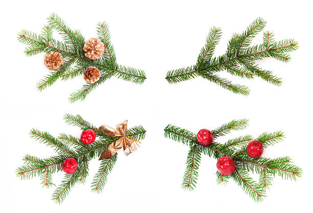 istock Detail of Christmas tree 91402422