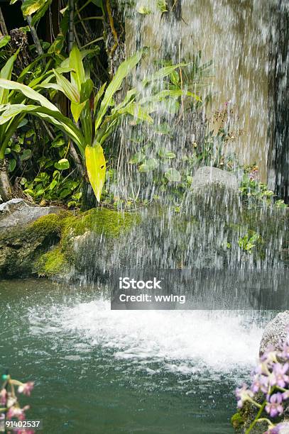 Waterfal Tropicale - Fotografie stock e altre immagini di Acqua - Acqua, Acqua corrente, Ambientazione esterna