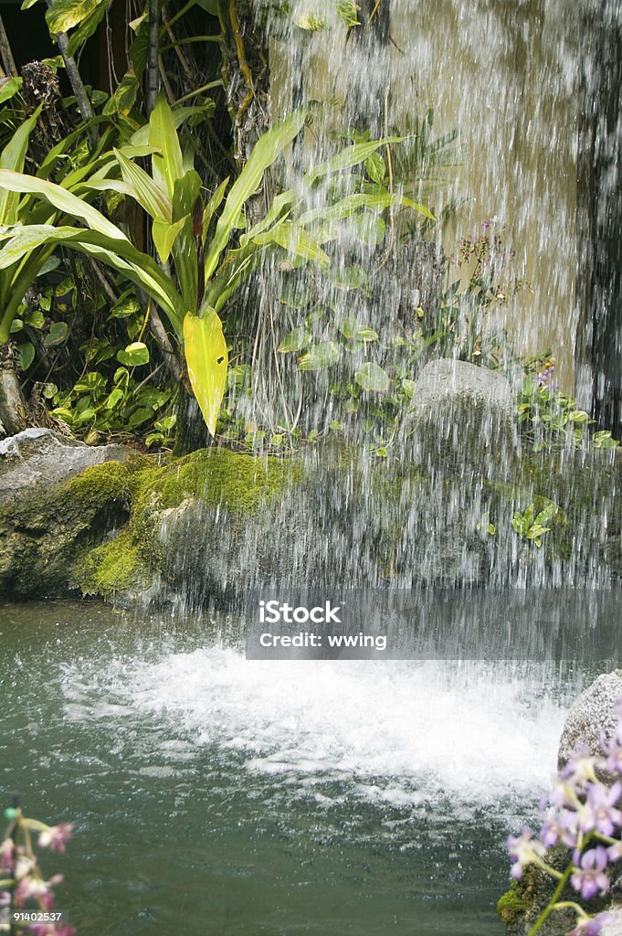 Waterfal Tropical - Royalty-free Ao Ar Livre Foto de stock