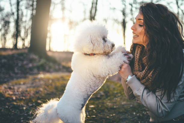 istock My fluffy dog is my best friend 914026022