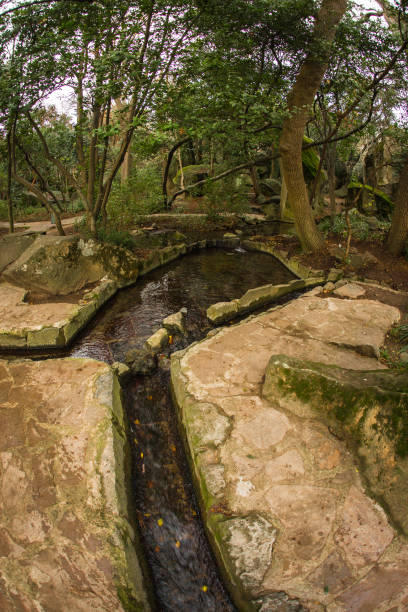 istock Small lake in Crimea in Russia 914026268