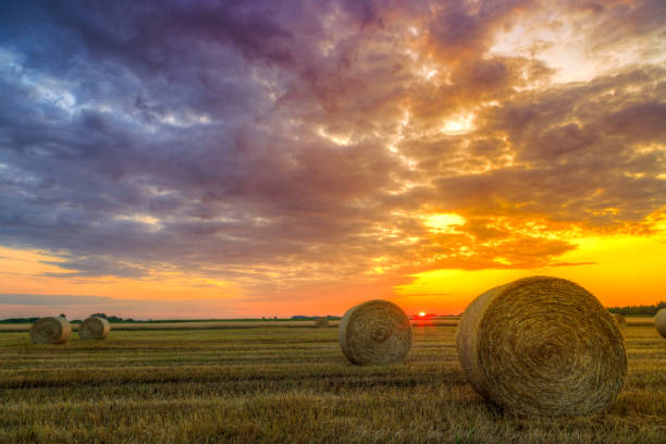 istock Sunset over farm field with hay bales 914030562