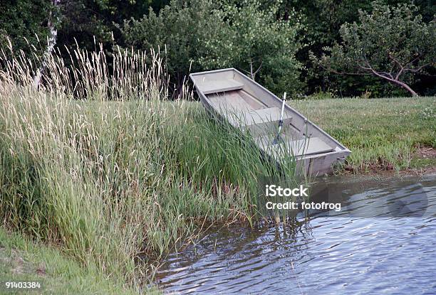 Fori Per La Pesca - Fotografie stock e altre immagini di Acqua - Acqua, Albero, Ambientazione esterna