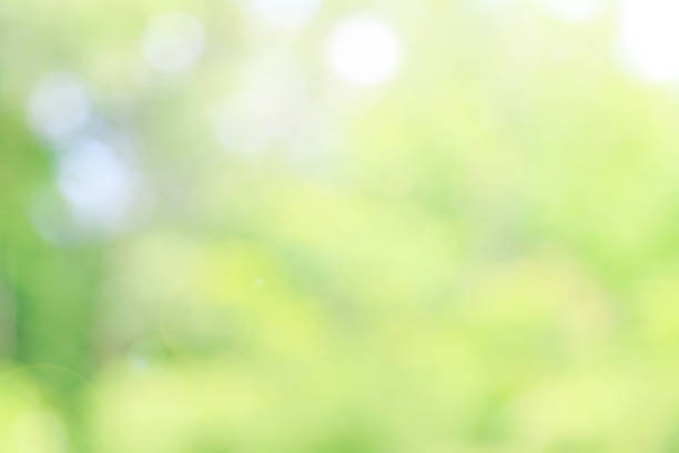 istock Natural green background with spring or summer 914034266
