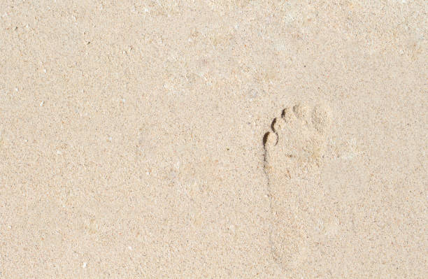istock Female barefoot print on beach sand. Seashore banner template with text place. 914034652