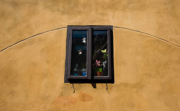Solitary Window stock photo