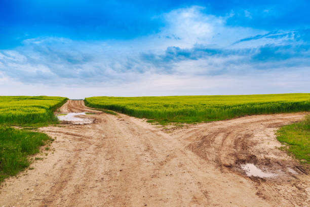 istock Summer landscape with green grass, road 914035234
